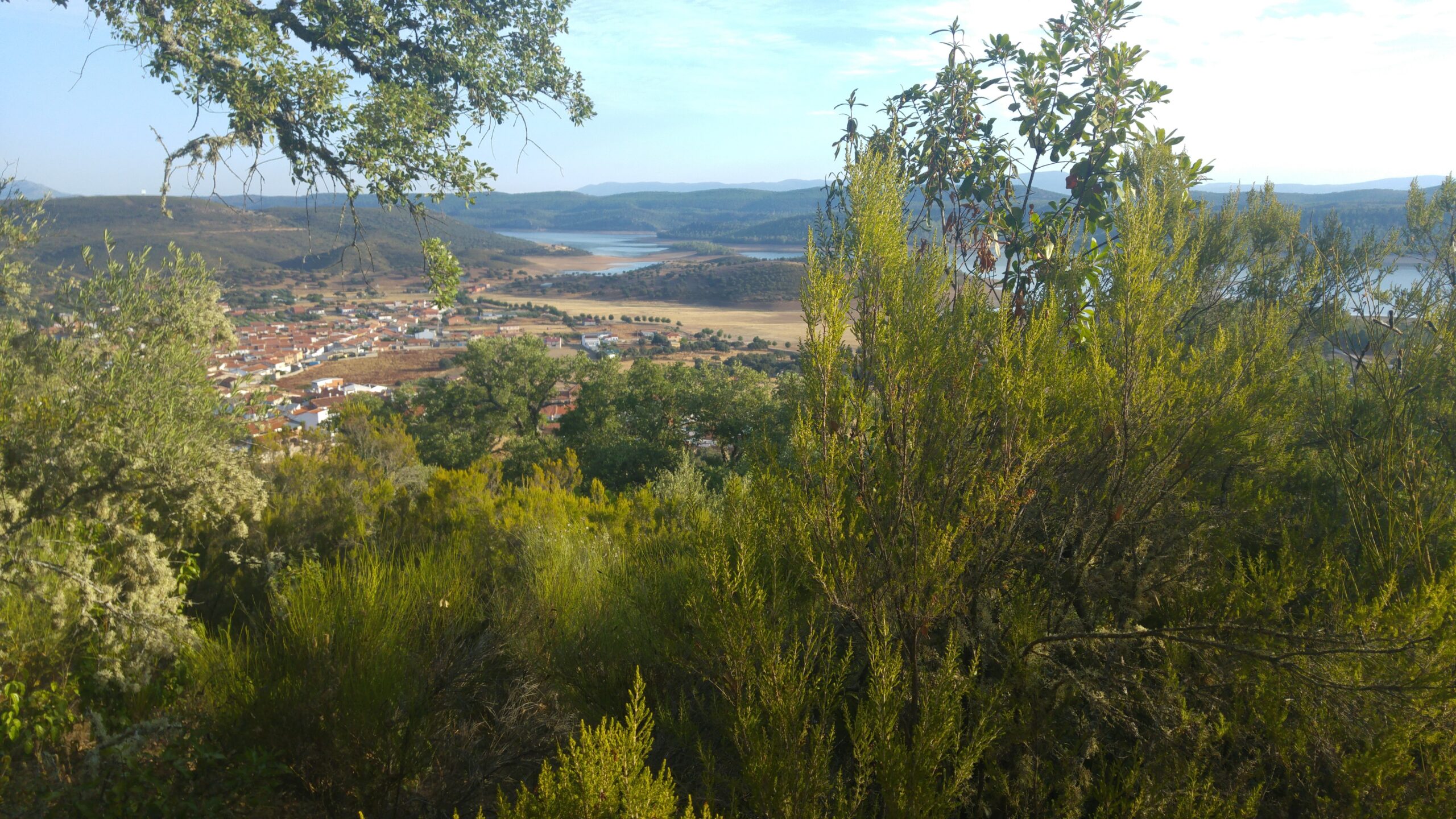 Helechosa de los Montes